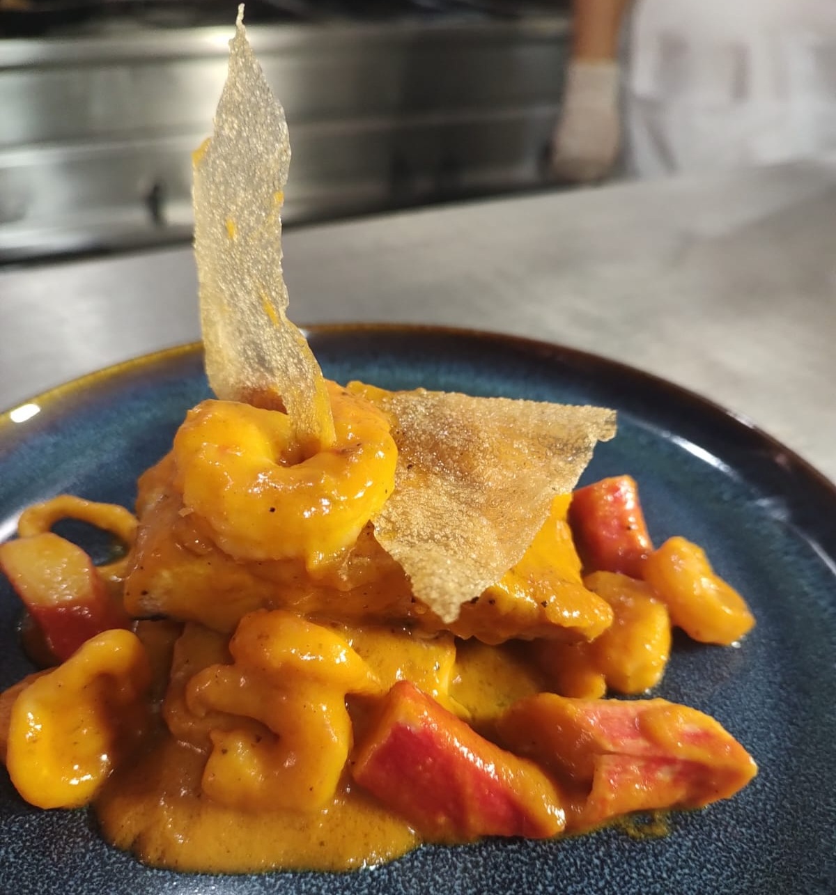 Plato 1